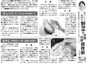 9面
