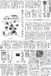 30面